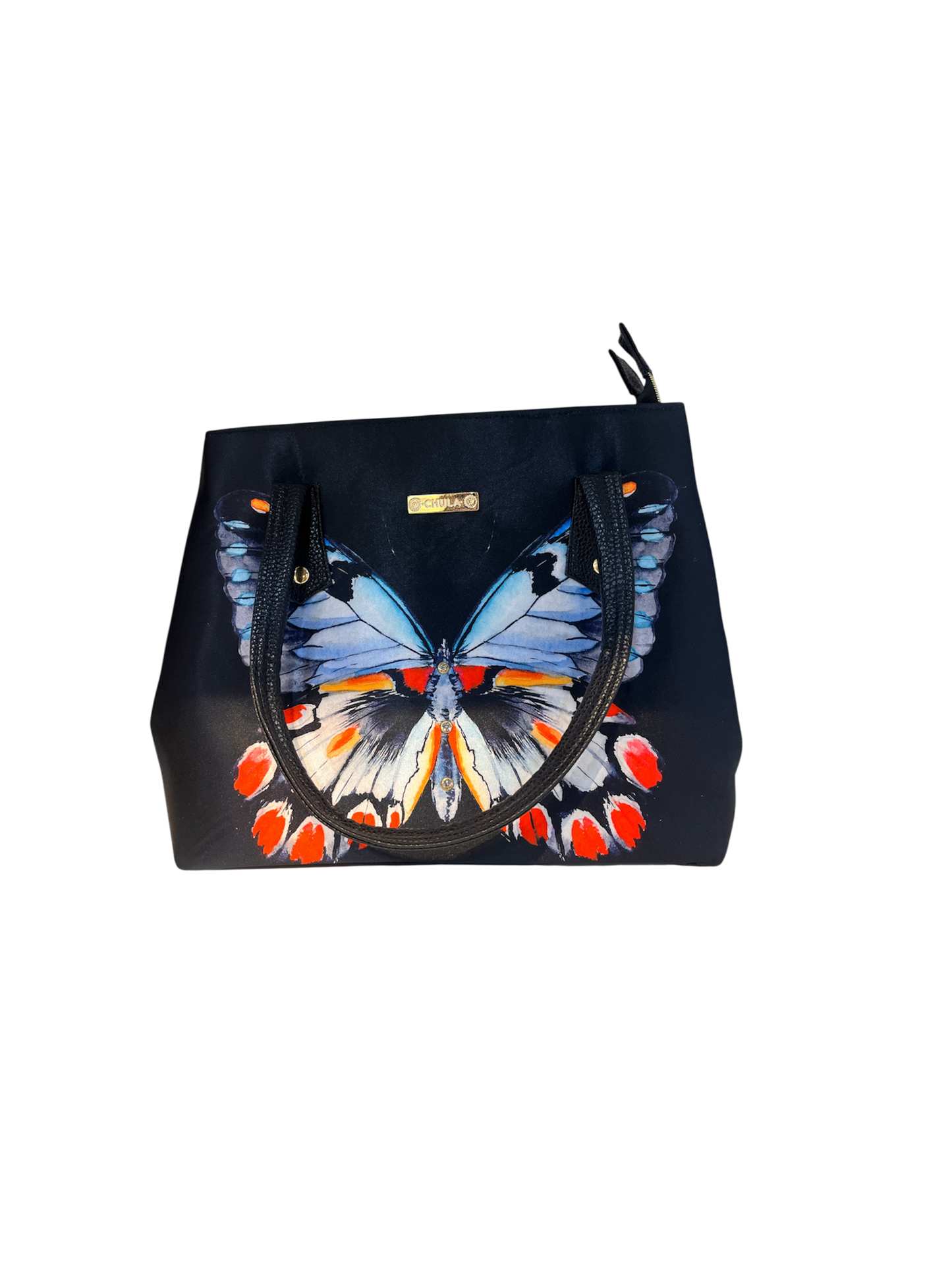 Pupé Mariposa Oscura